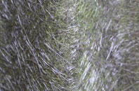 Grayshott fibreglass roof work